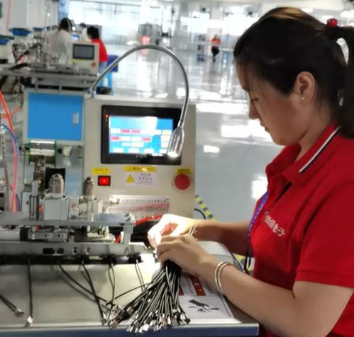 那一抹抹雛菊,芬芳了遂寧經開區